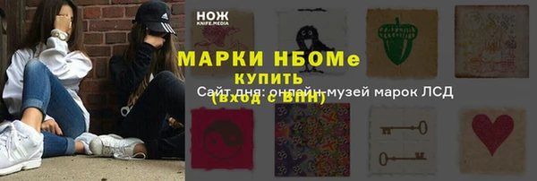 соль ск Горнозаводск