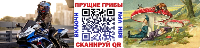 где продают   Зима  Галлюциногенные грибы прущие грибы 