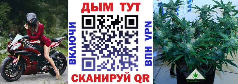 Бошки марихуана план магазин Зима